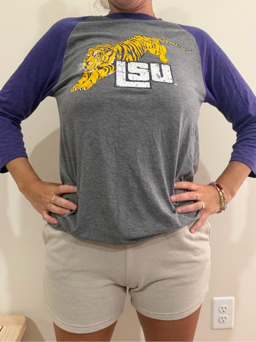 Dry Goods Purple and Gray Long Sleeve Tee with Tiger Graphic